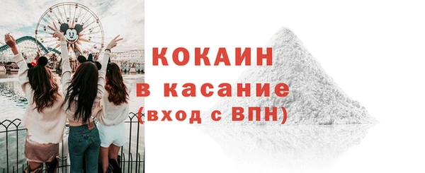 прущие грибы Козельск
