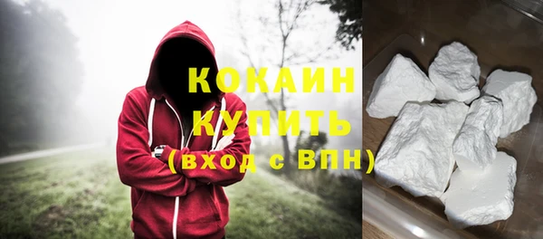 прущие грибы Козельск