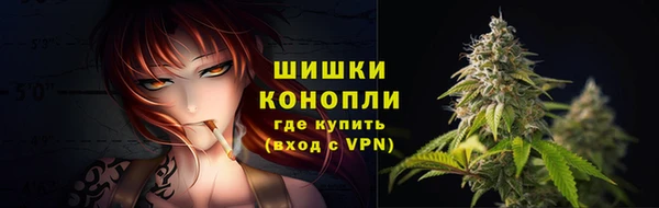 гидра Костерёво