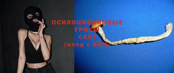 гидра Костерёво