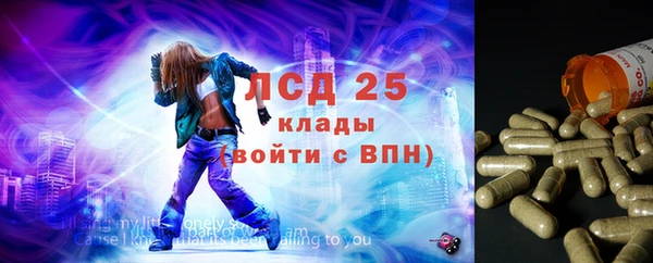 прущие грибы Козельск