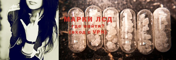 гидра Костерёво